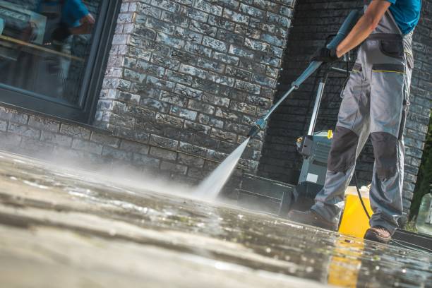 Best Graffiti Removal  in Monte Vista, CO
