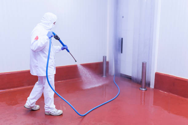 Pre-Holiday Cleaning in Monte Vista, CO